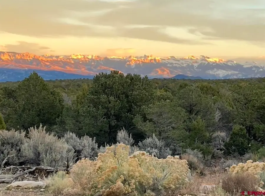 61000 V60 Trail, Montrose, CO 81403 - #3