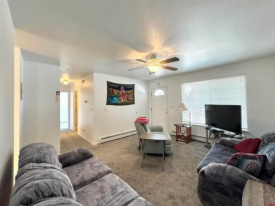 1911 San Juan Avenue, Alamosa, CO 81101 - #3