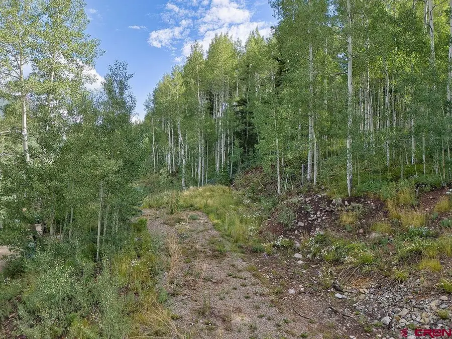 216 S Commercial Street, Rico, CO 81332 - #3