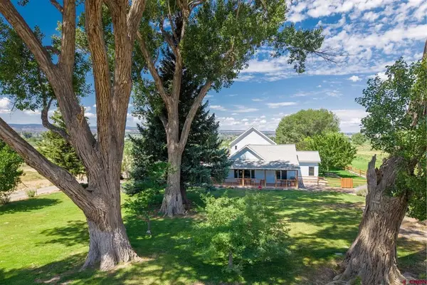 14227 6175 Road, Montrose, CO 81403