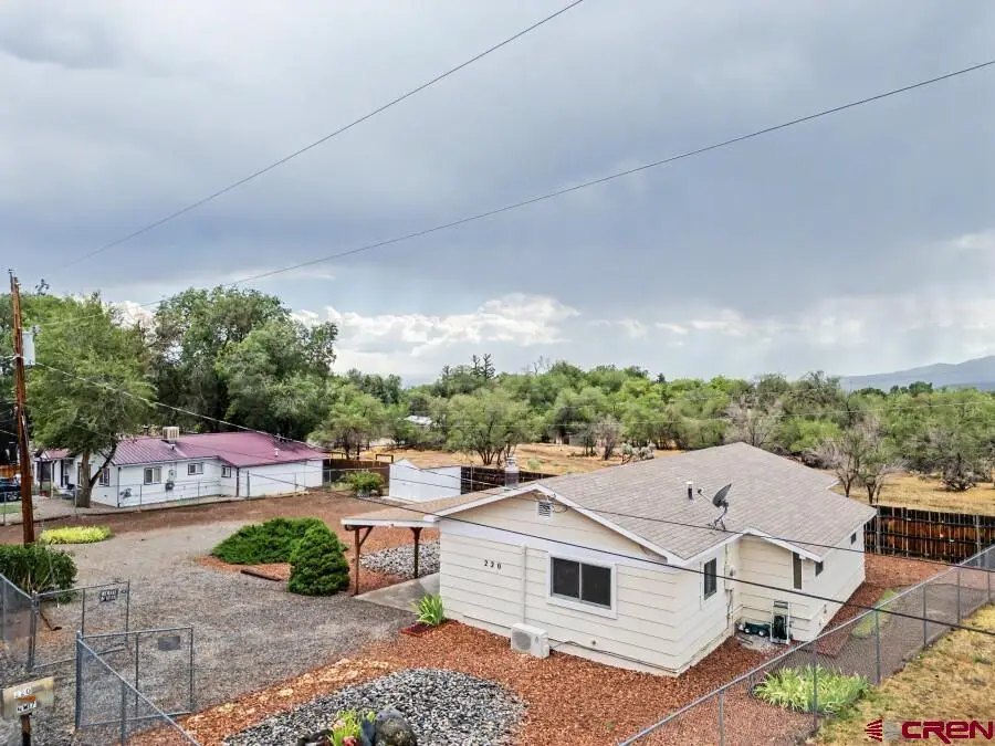 220 Nw 7th Street, Cedaredge, CO 81413 - #2