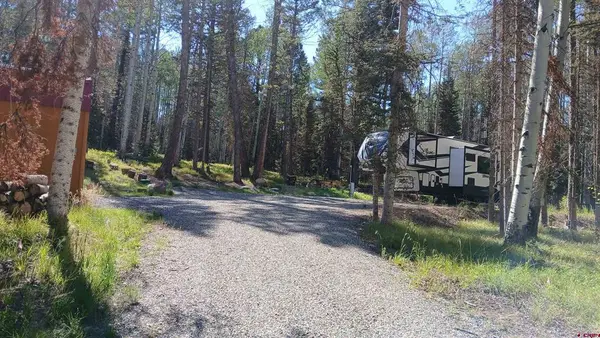 2020 Spruce Road, Cimarron, CO 81220