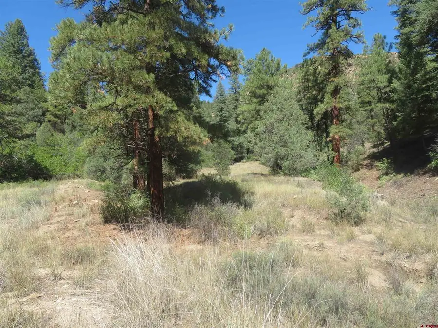 245 Mountain Rd, Pagosa Springs, CO 81147 - #3