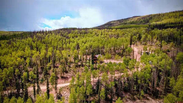 5565 Forest Rd 504 Road, Creede, CO 81130