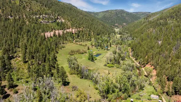 TBD Road 40, Dolores, CO 81323