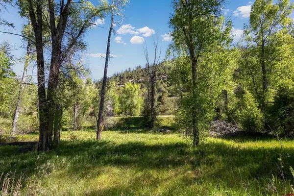 TBD Hwy 145, Dolores, CO 81323