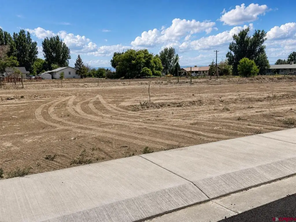 Lot 3 TBD Cunningham Street, Delta, CO 81416 - #1