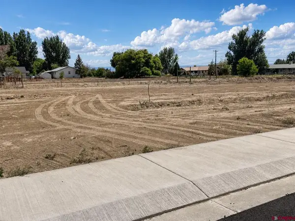 Lot 3 TBD Cunningham Street, Delta, CO 81416