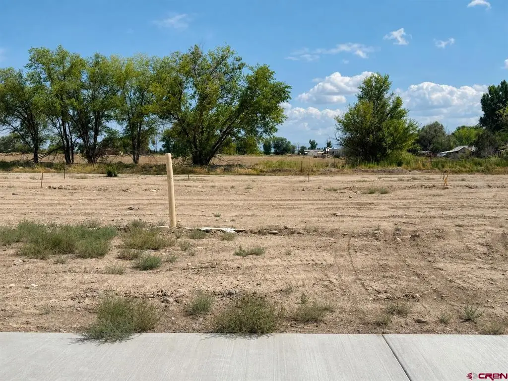 Lot 7 TBD Cunningham Street, Delta, CO 81416 - #1