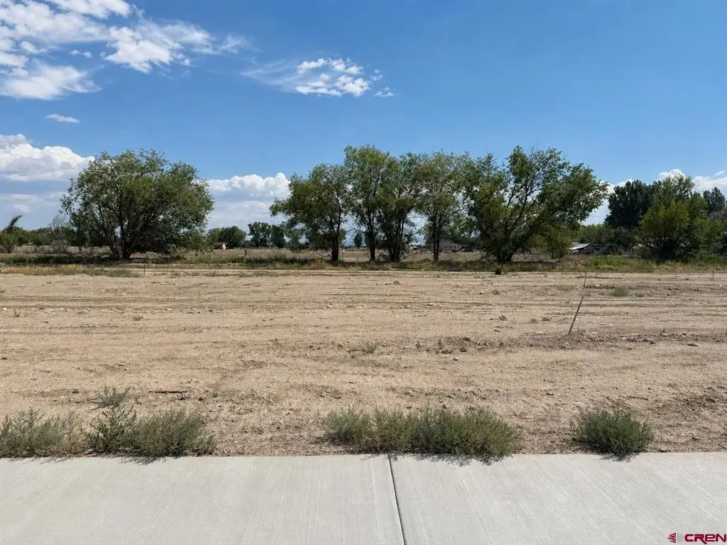 Lot 8 TBD Cunningham Street, Delta, CO 81416 - #1