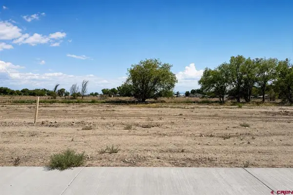 Lot 9 TBD Cunningham Street, Delta, CO 81416