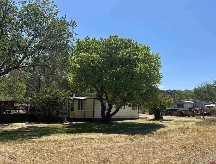 17744 Old Paradox Road, Montrose, CO 81403 - #3
