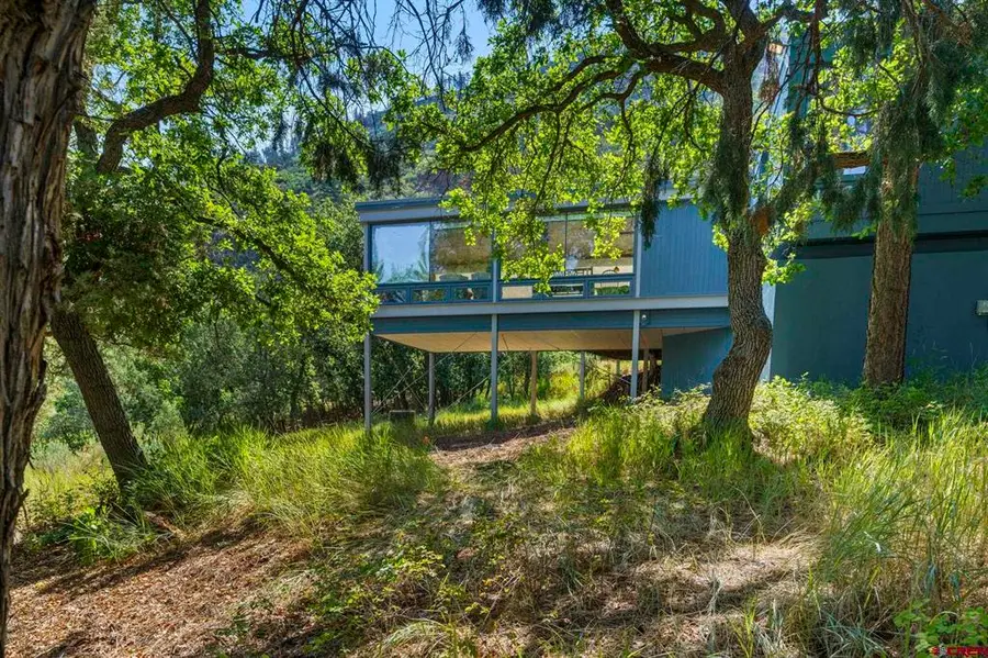 6642 County Road 250, Durango, CO 81301 - #3