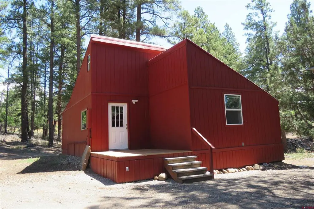 407 Simmons Drive, Pagosa Springs, CO 81147 - #1