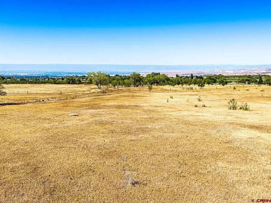 Lot 2 NW Sage Avenue, Cedaredge, CO 81413 - #2