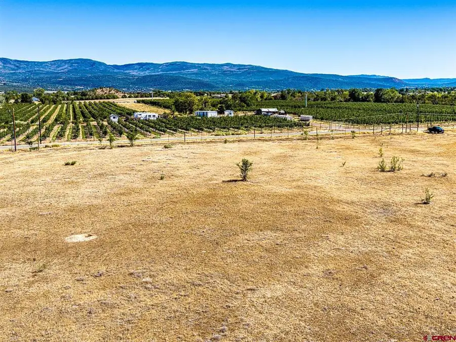 Lot 2 NW Sage Avenue, Cedaredge, CO 81413 - #3