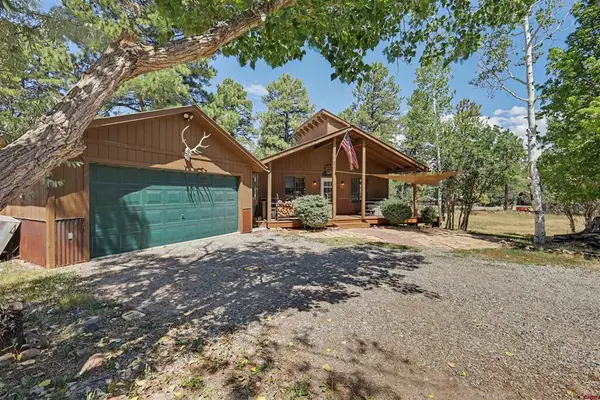 64 Cleek Court, Pagosa Springs, CO 81147