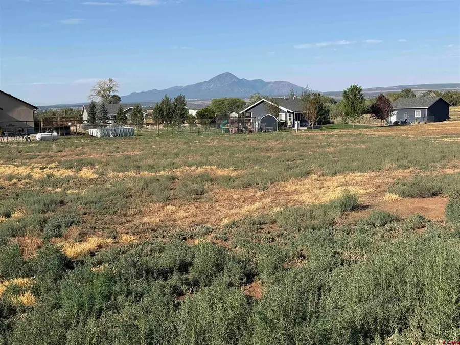 TBD Road 24.8, Dolores, CO 81323 - #3