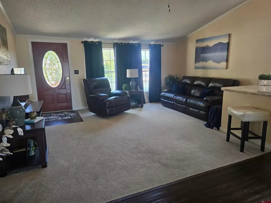 9104 1995 Road, Austin, CO 81410 - #3