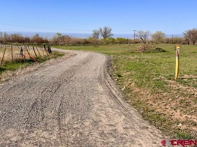 1010 SW 11th Avenue, Cedaredge, CO 81413 - #3