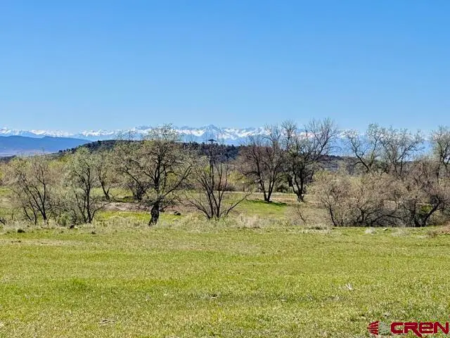 1270 SW 11th Avenue, Cedaredge, CO 81413 - #2