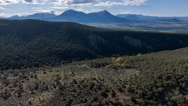 TBD Wolf Park Road, Hotchkiss, CO 81419