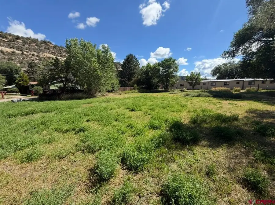 107 N 11th Street, Dolores, CO 81323 - #3