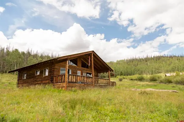 1001 Cr 17 #Willow Cabin, Lake City, CO 81235