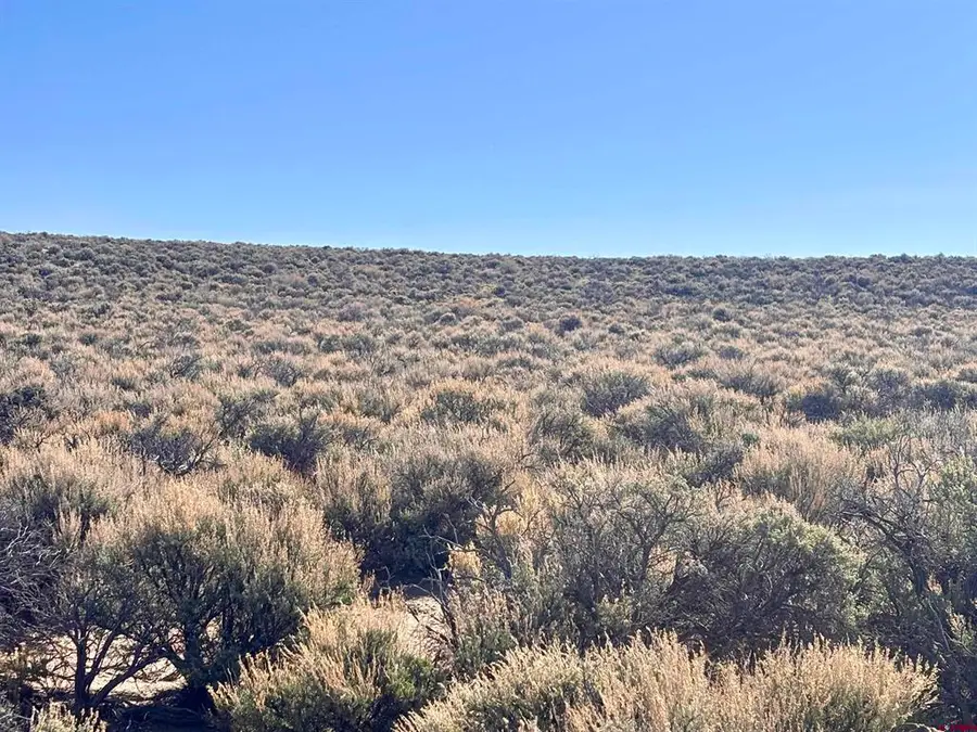 LOT 33 Unit R Blk 25 San Luis Valley Ranches, San Luis, CO 81152 - #3