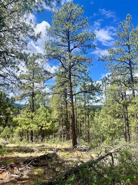 75 Rocky Ridge 2, Pagosa Springs, CO 81147