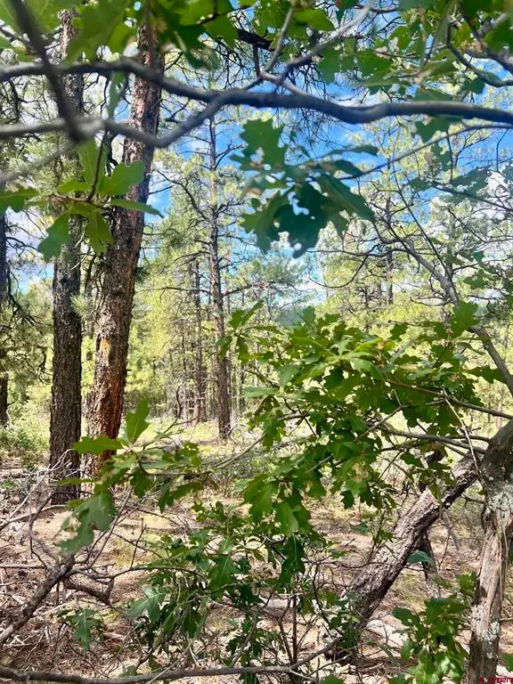 75 Rocky Ridge 2, Pagosa Springs, CO 81147 - #2
