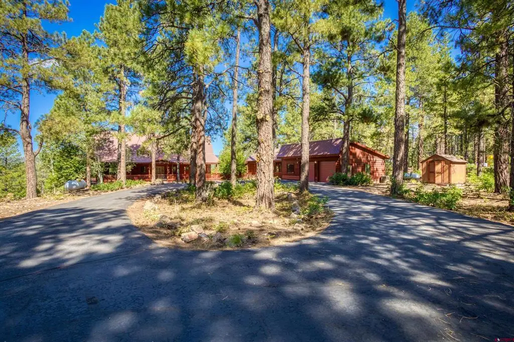 103 Cameo Court, Pagosa Springs, CO 81147 - #1