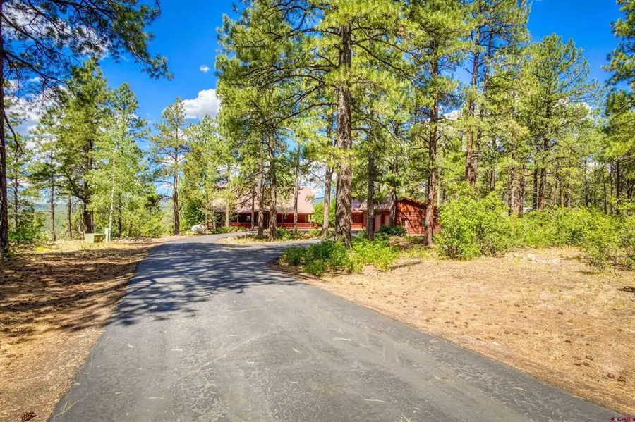 103 Cameo Court, Pagosa Springs, CO 81147 - #2