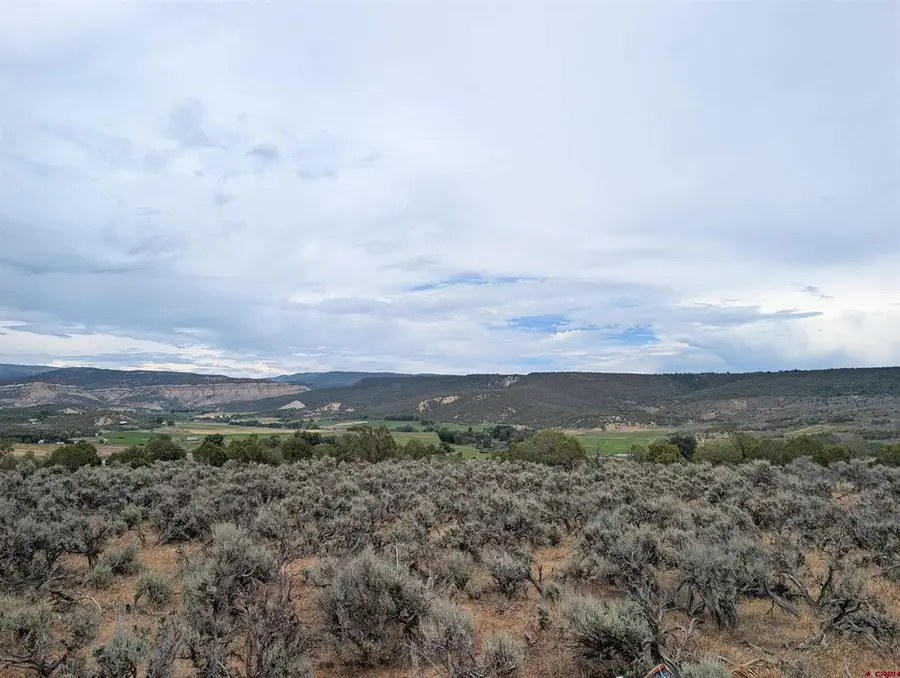 15770 Heaven's View Road, Cedaredge, CO 81413 - #3