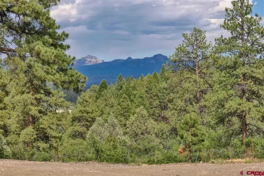 511 Cool Pines Drive, Pagosa Springs, CO 81147 - #2