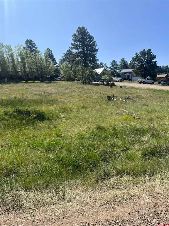 20 La Costa Court, Pagosa Springs, CO 81147 - #3