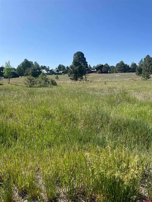 306 Snow Circle, Pagosa Springs, CO 81147 - #2