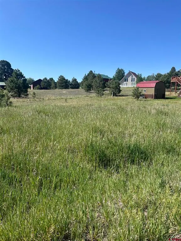 306 Snow Circle, Pagosa Springs, CO 81147 - #3
