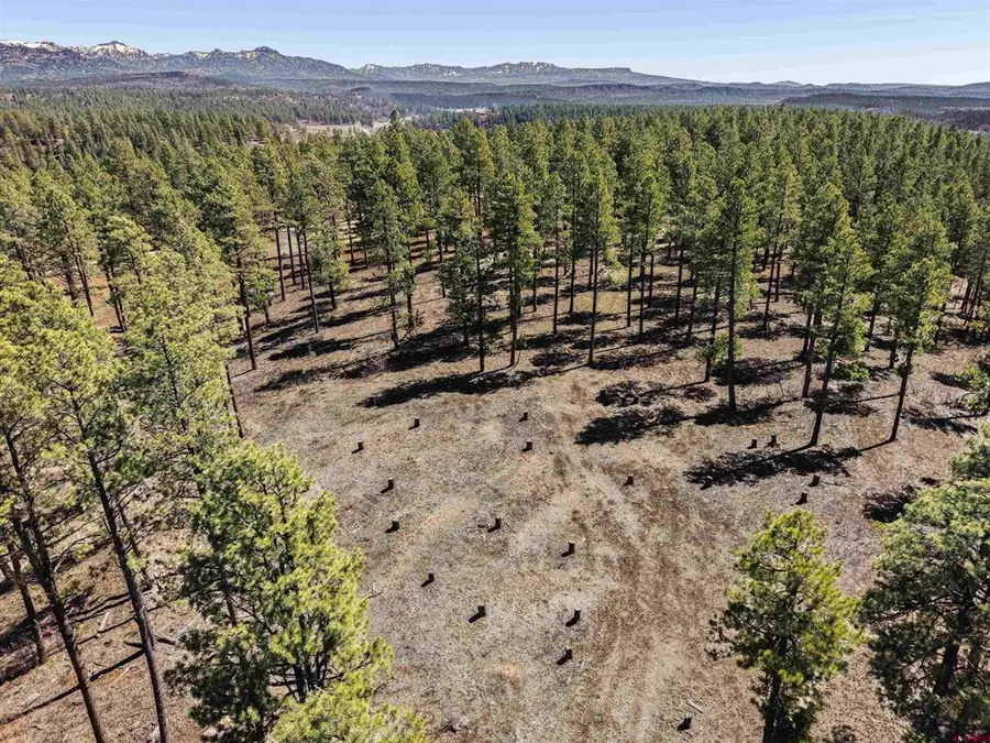 Lot 11 Hidden Valley Drive, Pagosa Springs, CO 81147 - #3