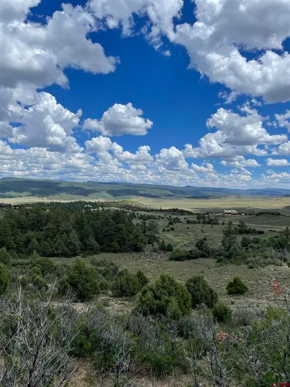 1950 Lodge Pole, Pagosa Springs, CO 81147 - #1