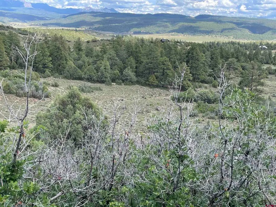 1950 Lodge Pole, Pagosa Springs, CO 81147 - #2