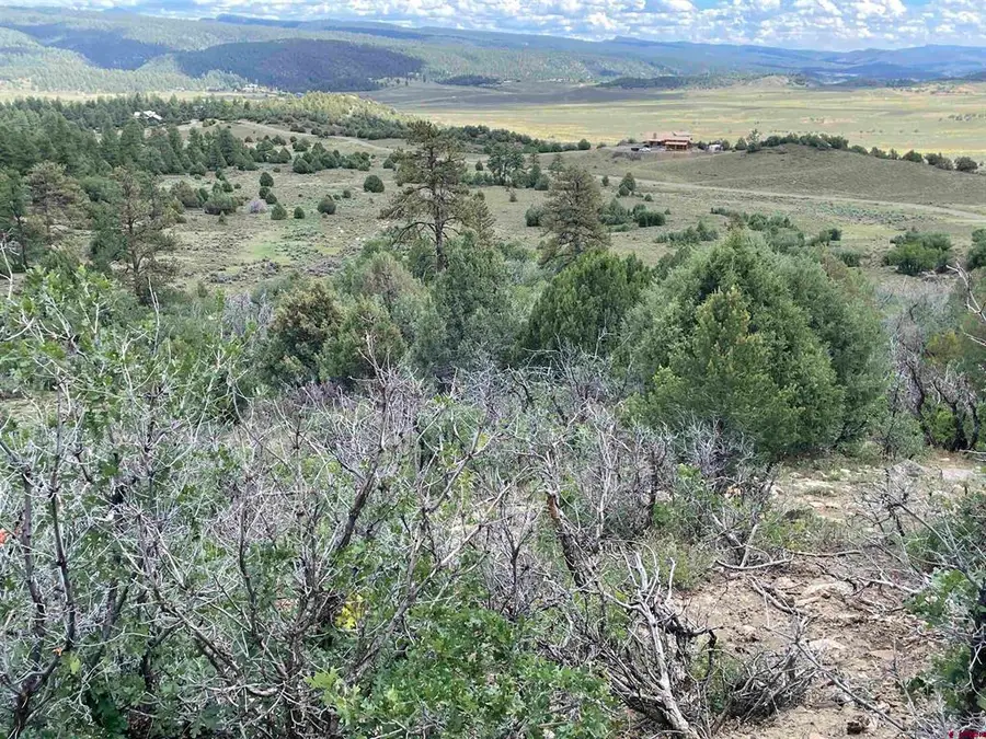 1950 Lodge Pole, Pagosa Springs, CO 81147 - #3