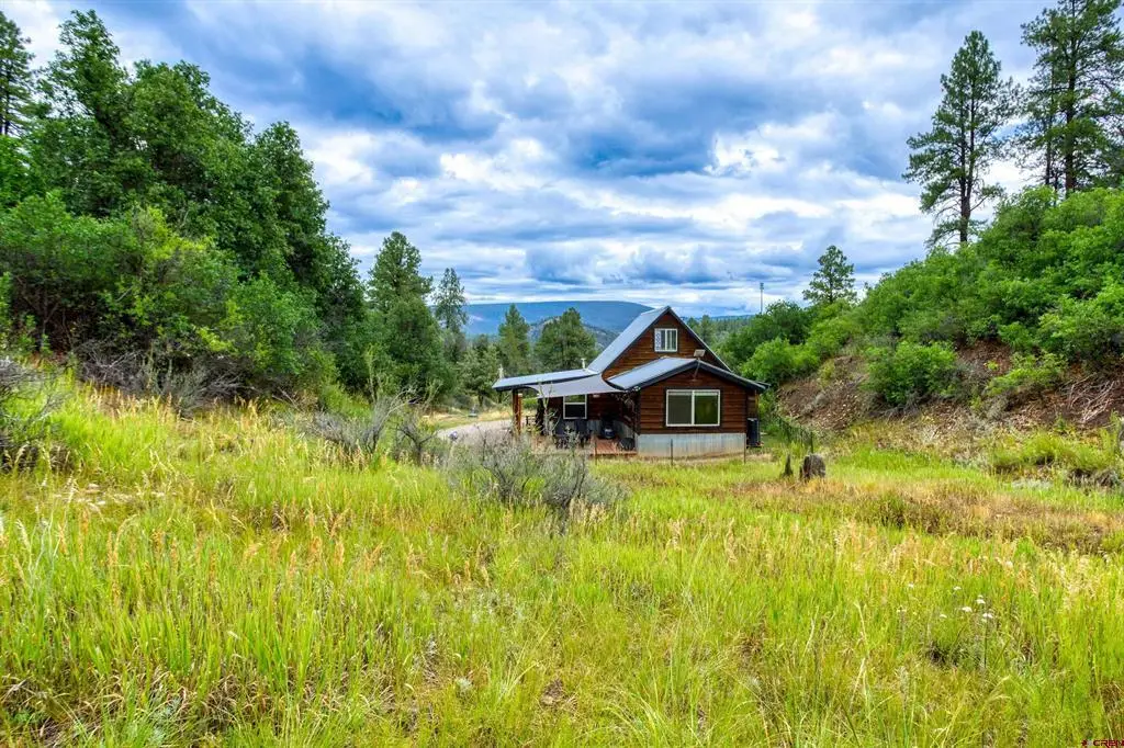 233 Carols Curves, Pagosa Springs, CO 81147 - #1