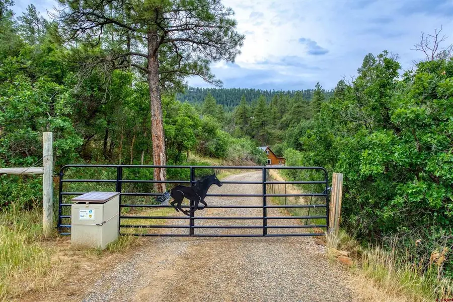 233 Carols Curves, Pagosa Springs, CO 81147 - #2