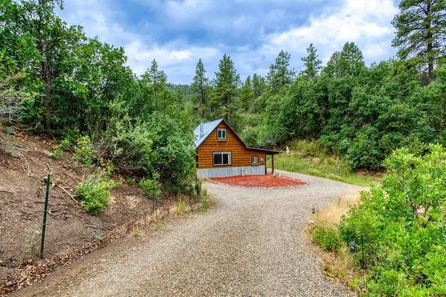 233 Carols Curves, Pagosa Springs, CO 81147 - #3