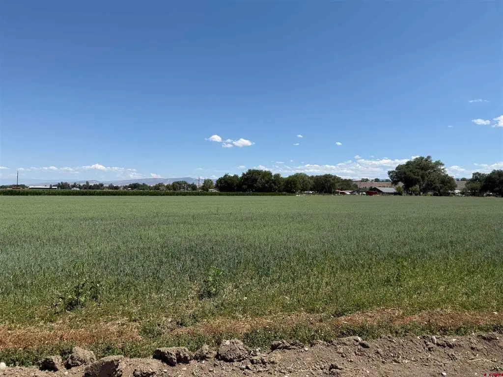 TBD Orange Rd And 6400 Rd, Montrose, CO 81403 - #1