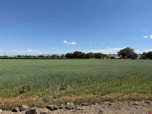 TBD Orange Rd And 6400 Rd, Montrose, CO 81403