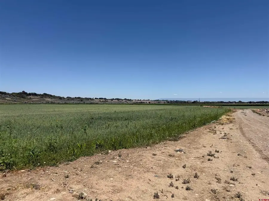 TBD Orange Rd And 6400 Rd, Montrose, CO 81403 - #3