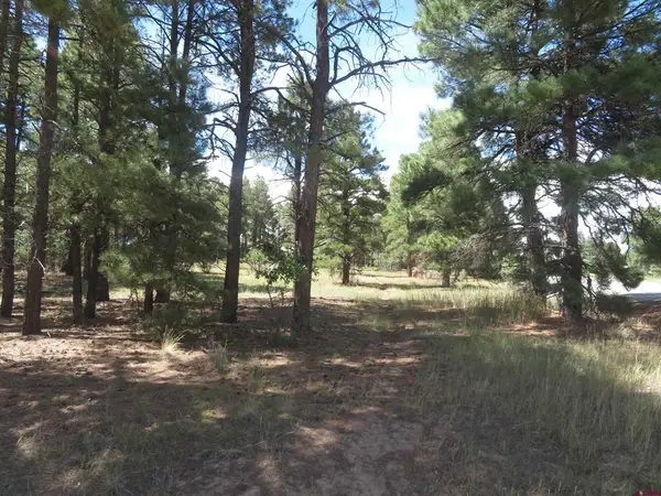 824 Antelope Ave, Pagosa Springs, CO 81147