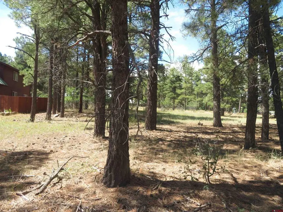 824 Antelope Ave, Pagosa Springs, CO 81147 - #3